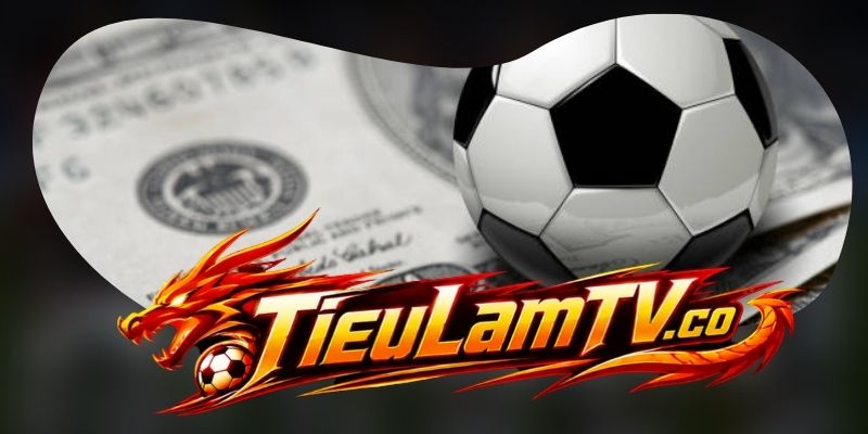 Phạm vi sử dụng dịch vụ tại Tieulamtv