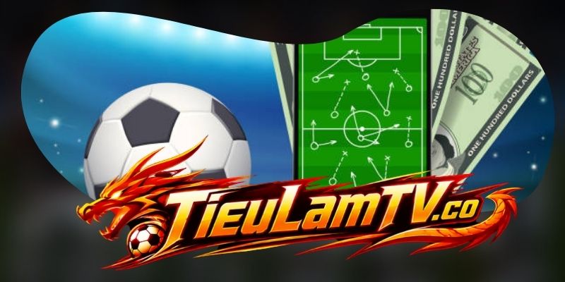 Kênh liên hệ chính thức tại Tieulamtv